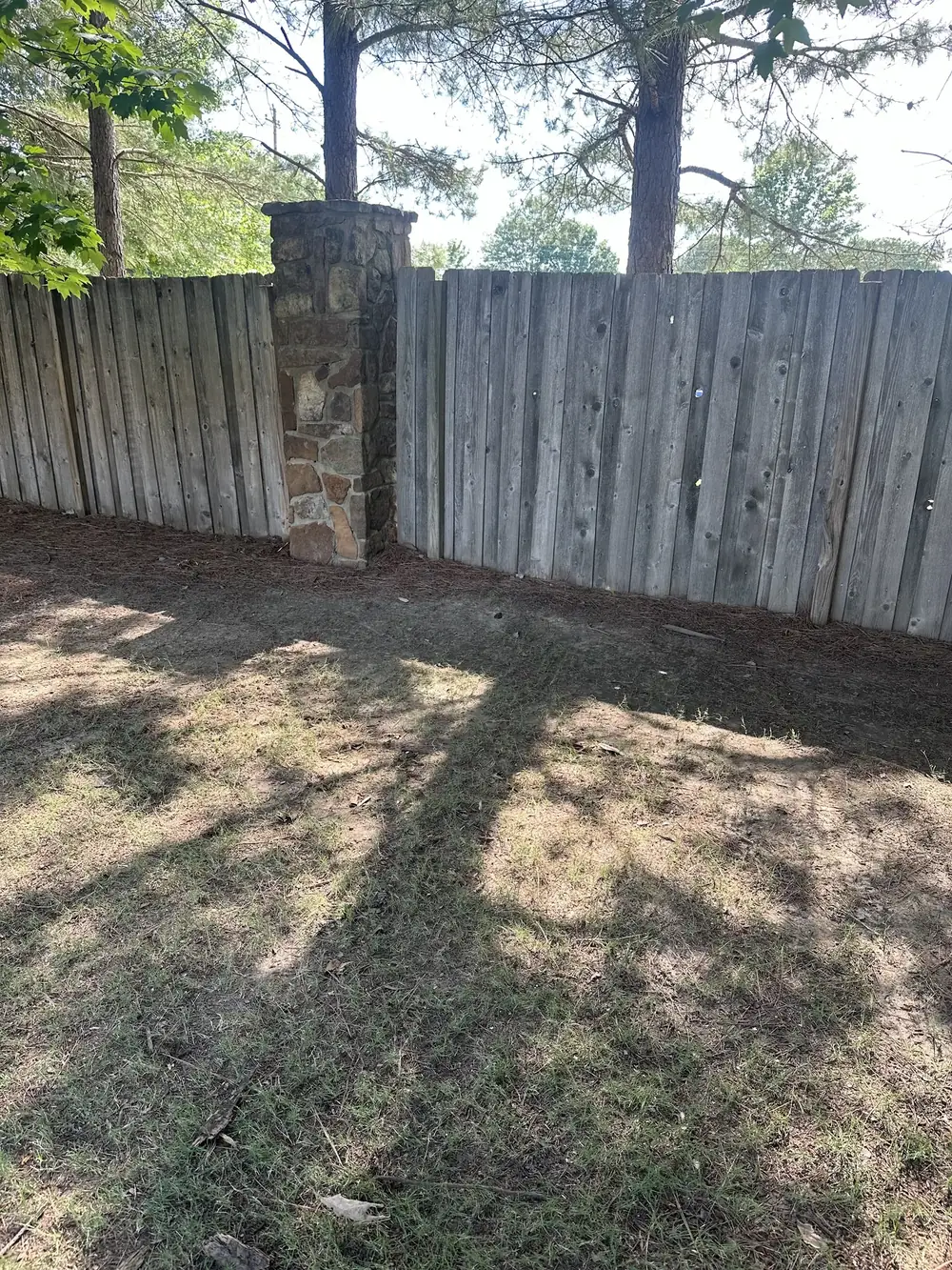 After: the same fence line raked clear